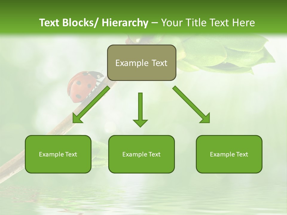 Fre H Ladybug Blur PowerPoint Template