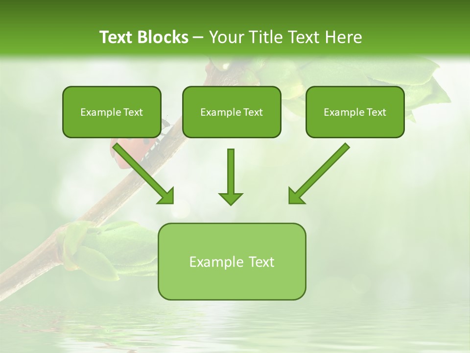 Fre H Ladybug Blur PowerPoint Template