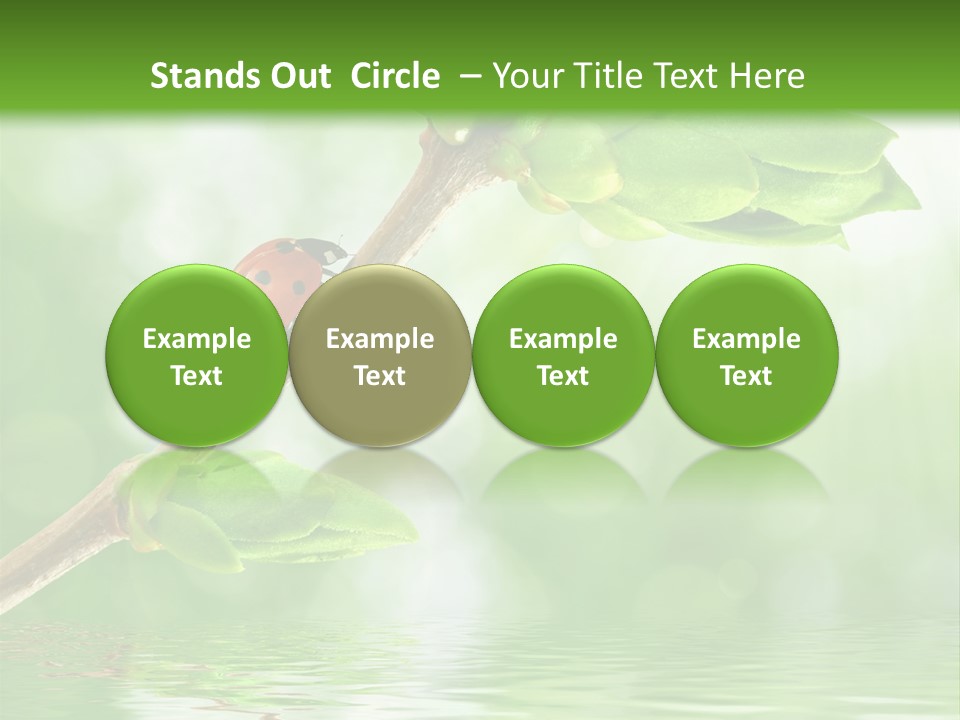 Fre H Ladybug Blur PowerPoint Template
