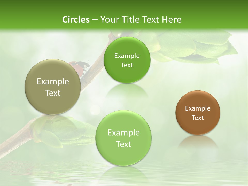 Fre H Ladybug Blur PowerPoint Template