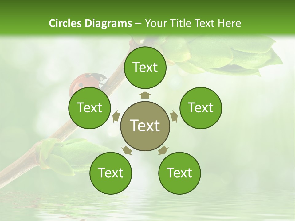 Fre H Ladybug Blur PowerPoint Template