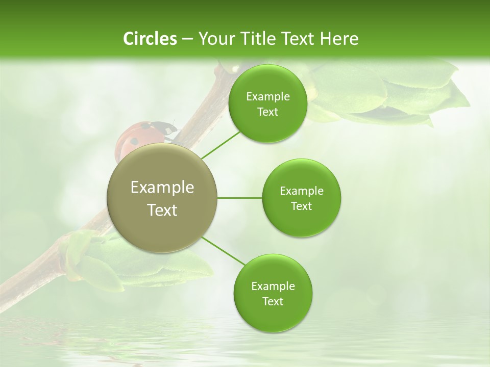 Fre H Ladybug Blur PowerPoint Template