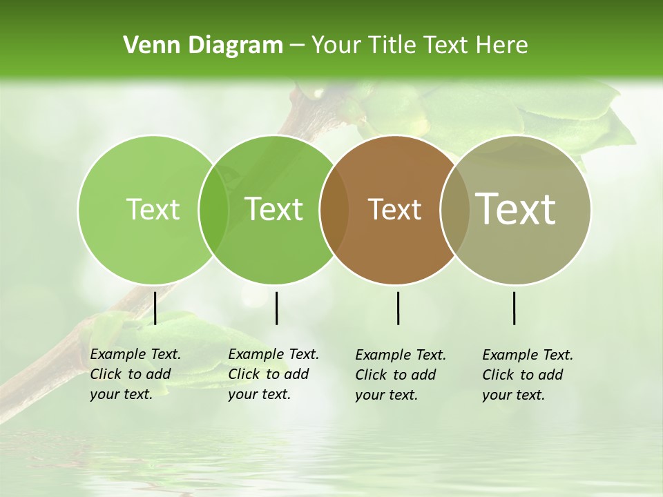 Fre H Ladybug Blur PowerPoint Template