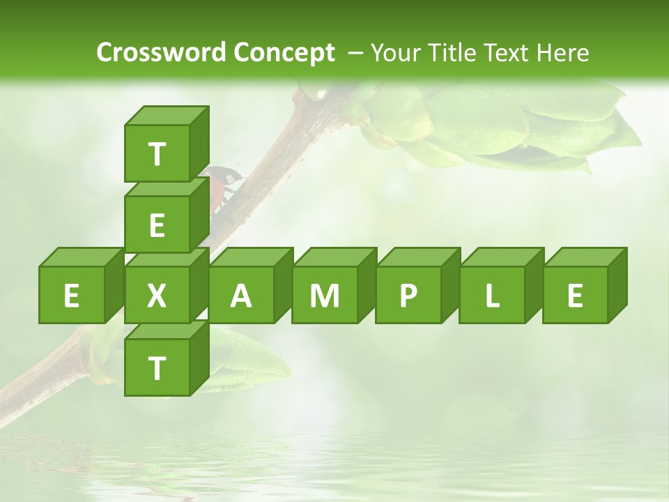 Fre H Ladybug Blur PowerPoint Template