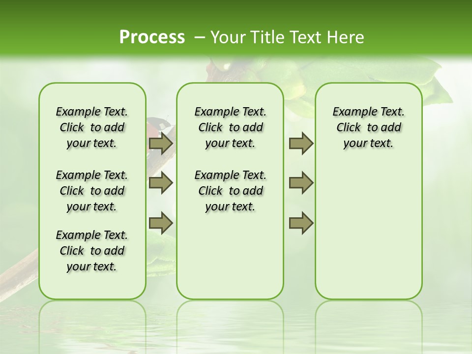 Fre H Ladybug Blur PowerPoint Template