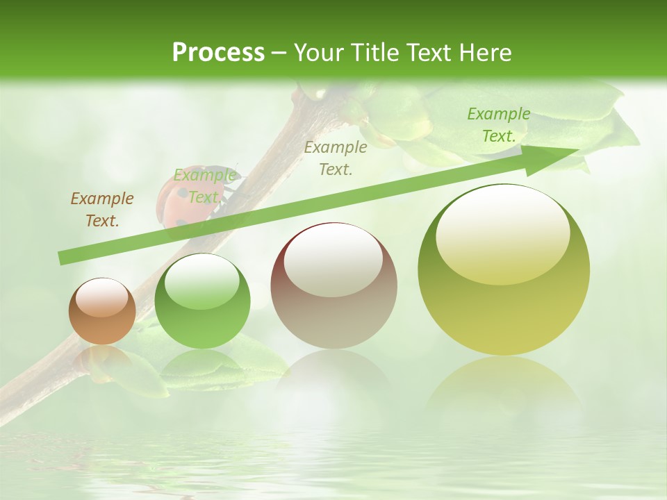 Fre H Ladybug Blur PowerPoint Template