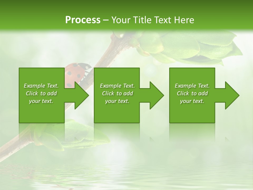 Fre H Ladybug Blur PowerPoint Template