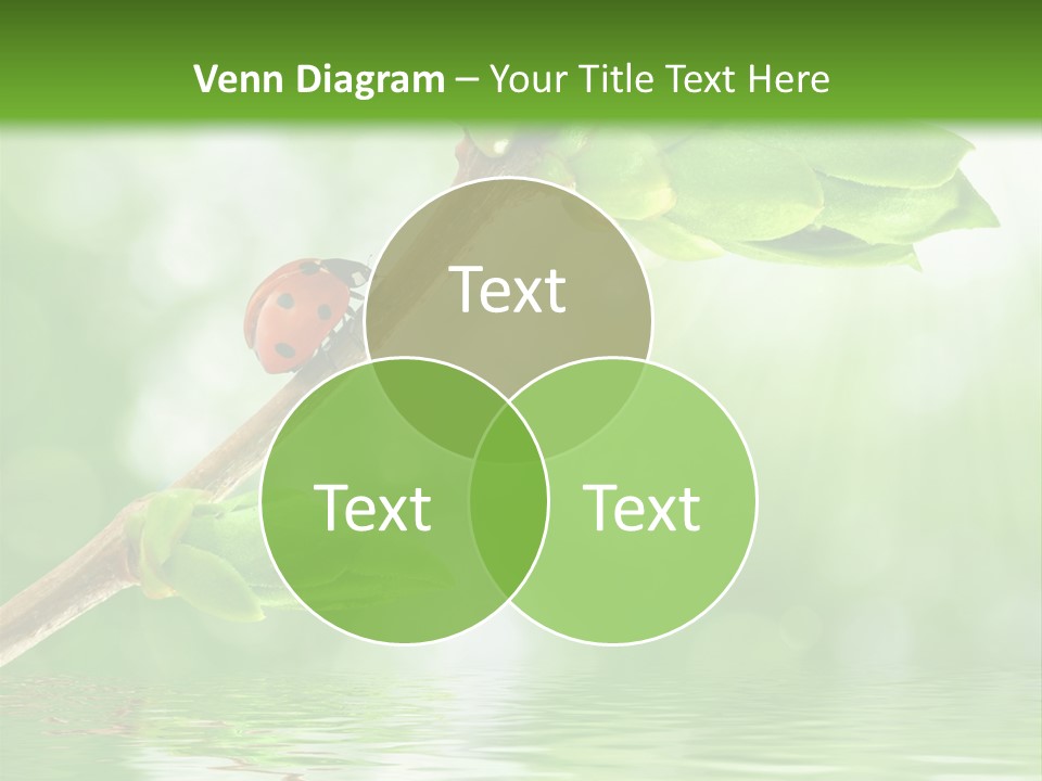 Fre H Ladybug Blur PowerPoint Template