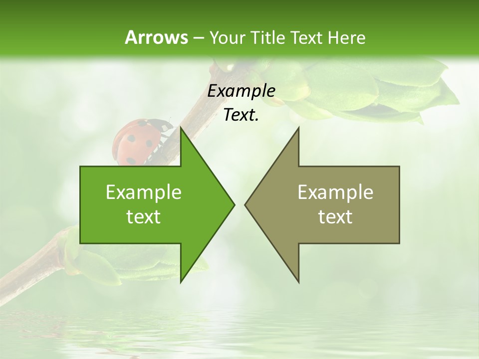 Fre H Ladybug Blur PowerPoint Template