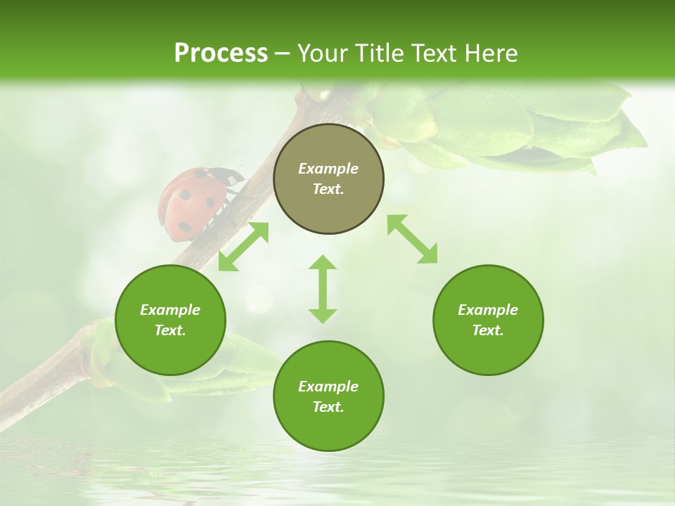 Fre H Ladybug Blur PowerPoint Template