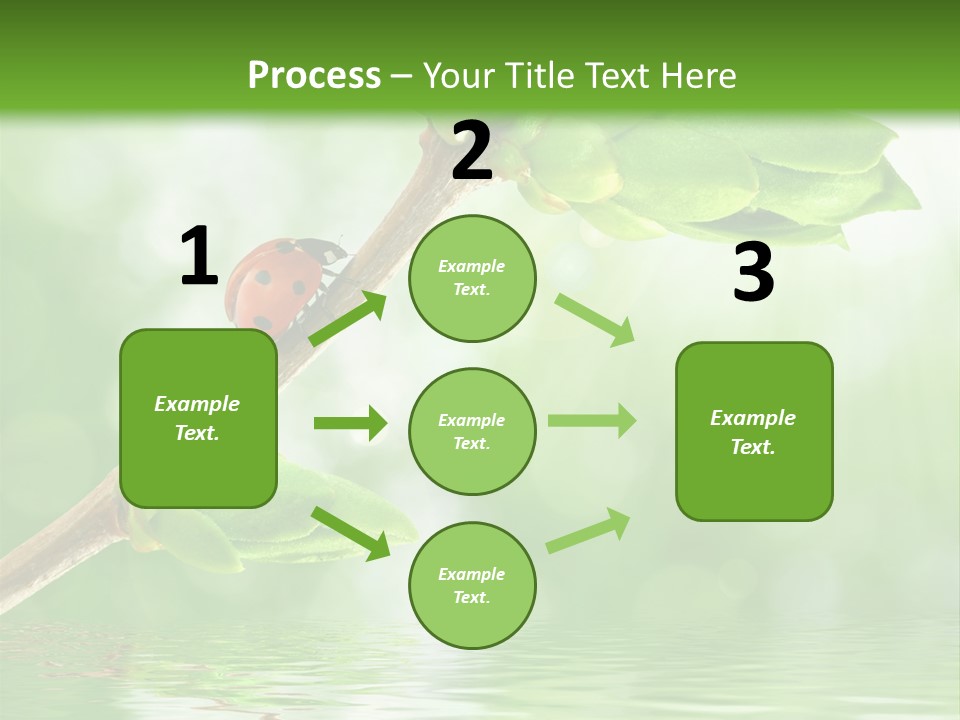 Fre H Ladybug Blur PowerPoint Template