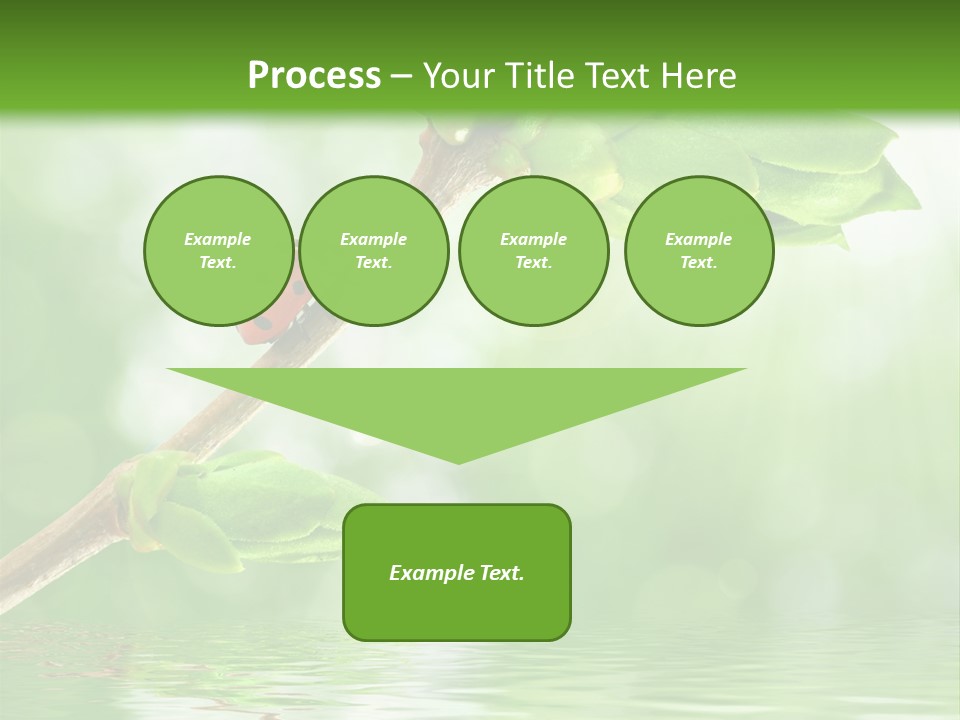 Fre H Ladybug Blur PowerPoint Template