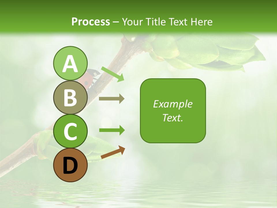 Fre H Ladybug Blur PowerPoint Template