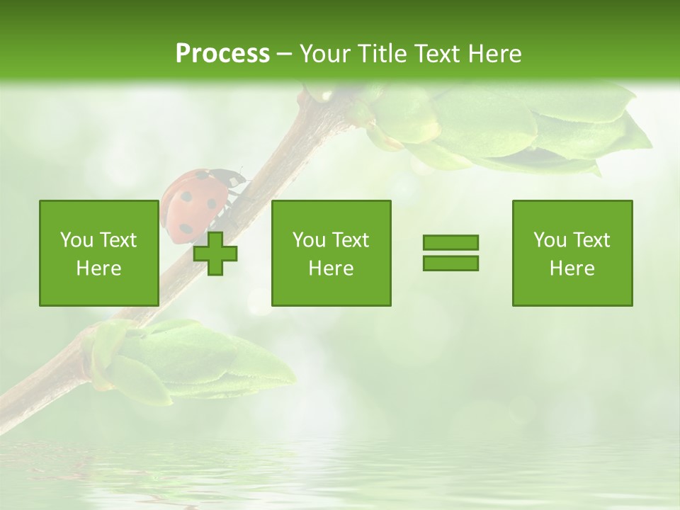 Fre H Ladybug Blur PowerPoint Template