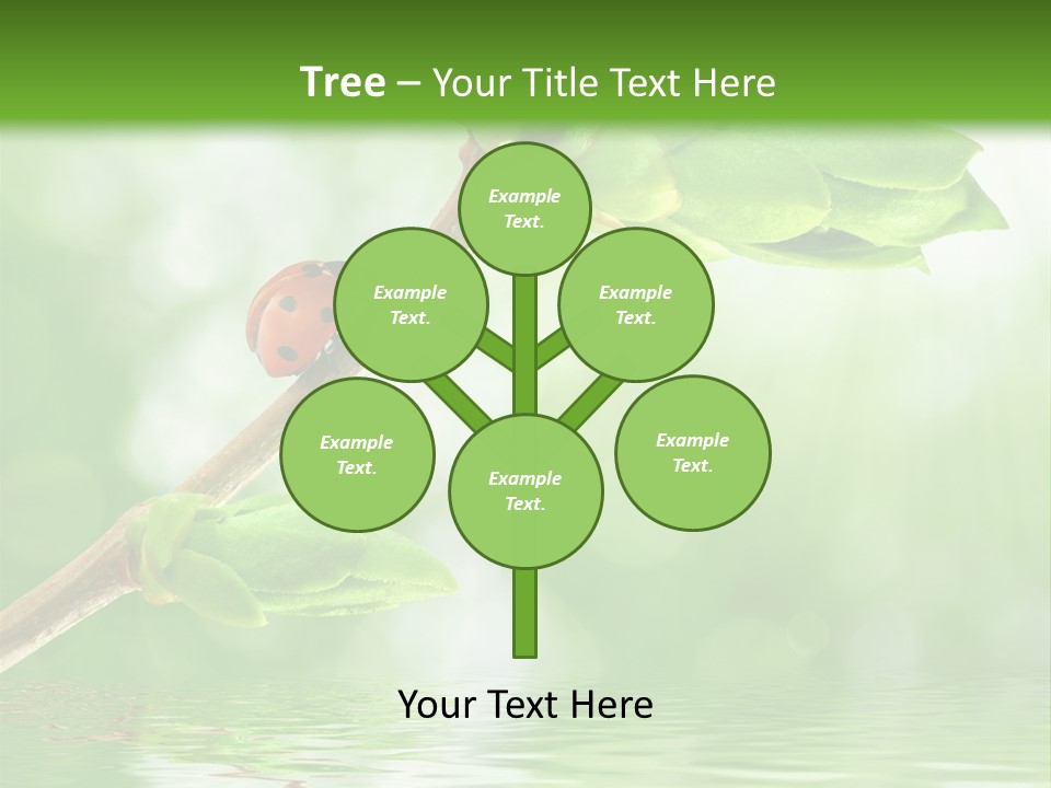 Fre H Ladybug Blur PowerPoint Template