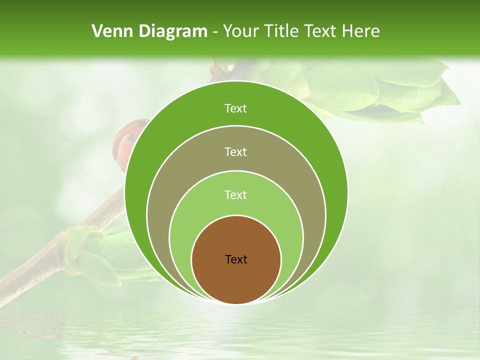 Fre H Ladybug Blur PowerPoint Template