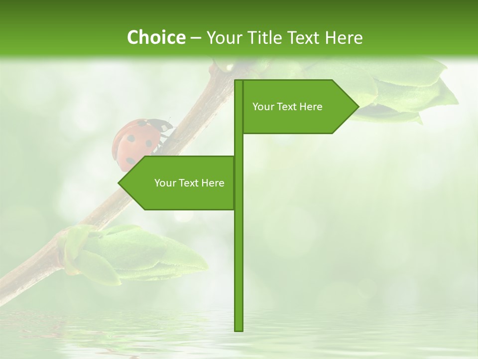 Fre H Ladybug Blur PowerPoint Template