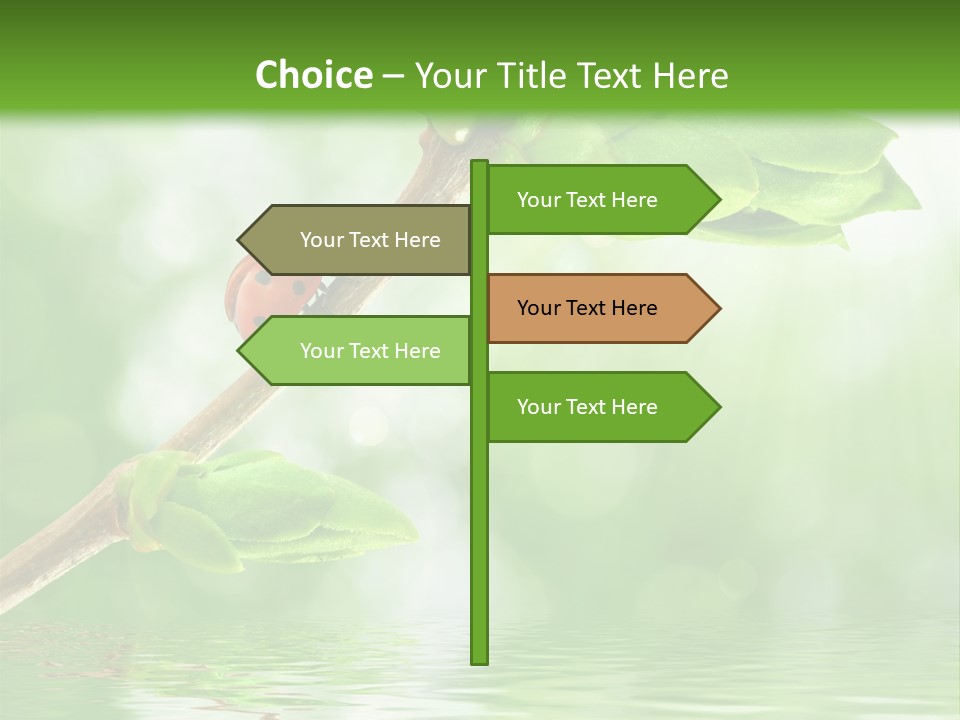 Fre H Ladybug Blur PowerPoint Template