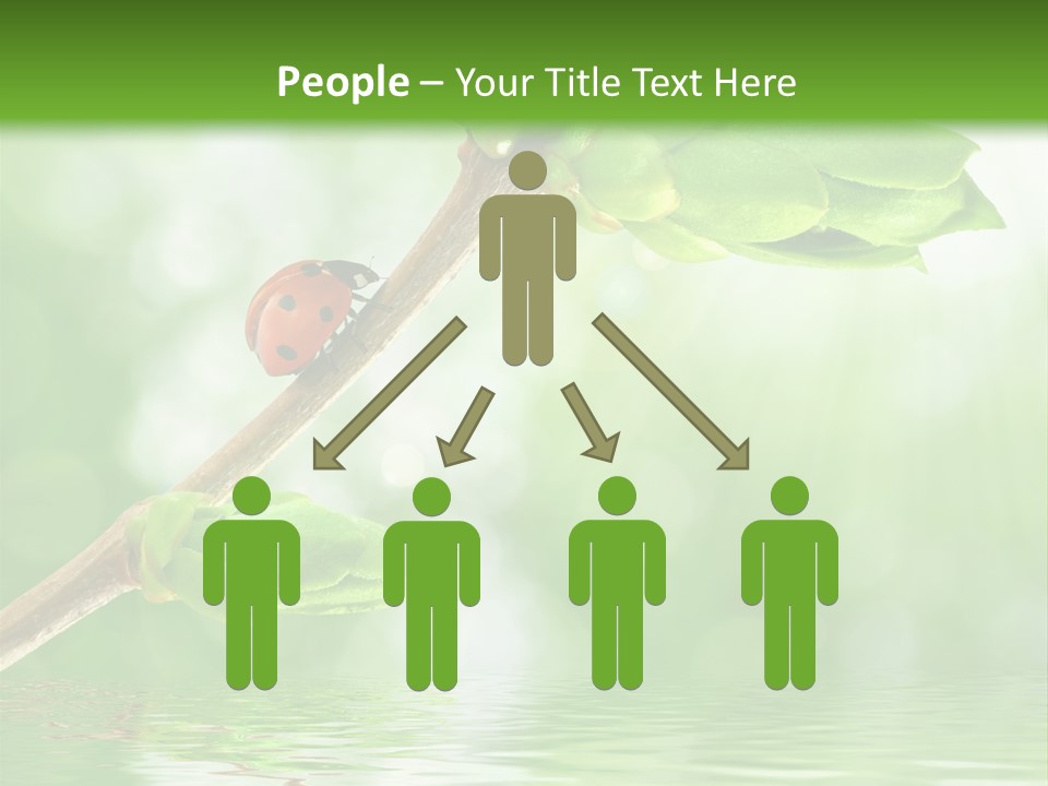 Fre H Ladybug Blur PowerPoint Template