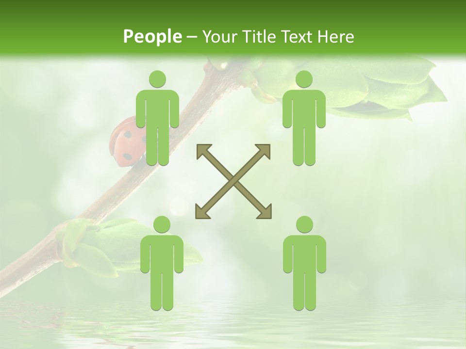 Fre H Ladybug Blur PowerPoint Template