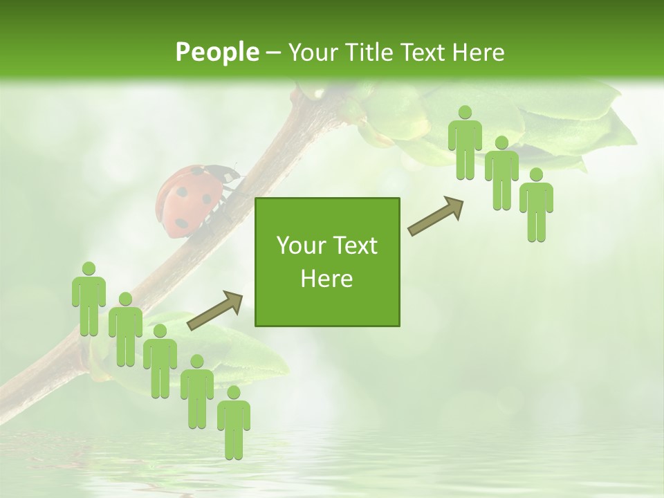 Fre H Ladybug Blur PowerPoint Template