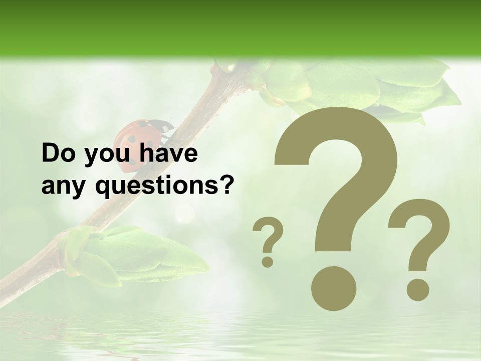 Fre H Ladybug Blur PowerPoint Template