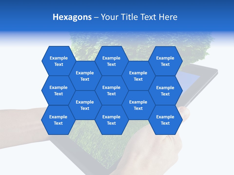 Object Display Leaf PowerPoint Template