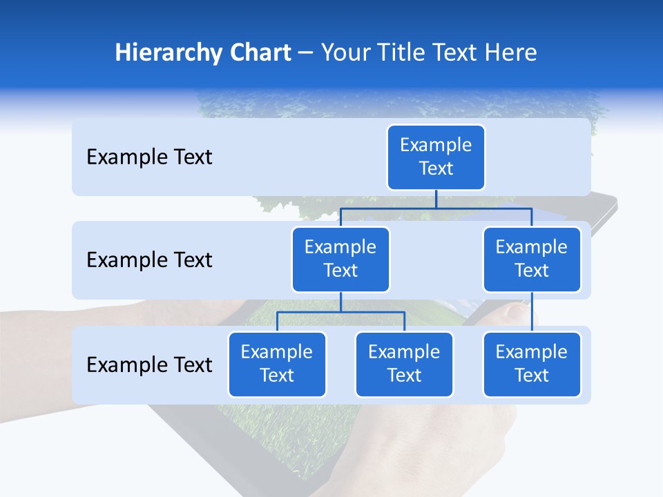 Object Display Leaf PowerPoint Template