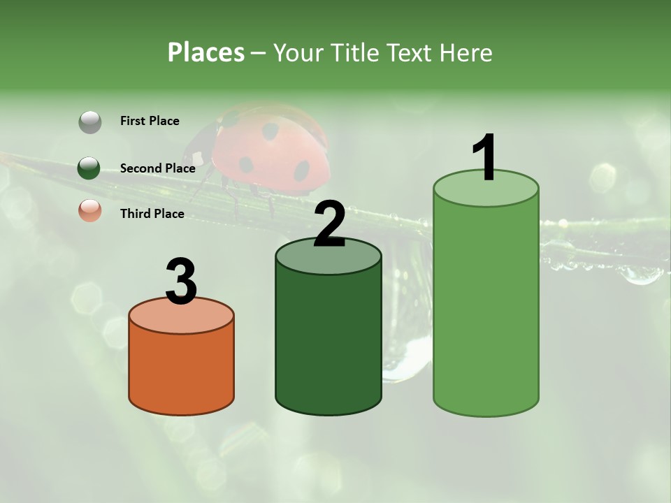 Healthcare Garden Ladybird PowerPoint Template