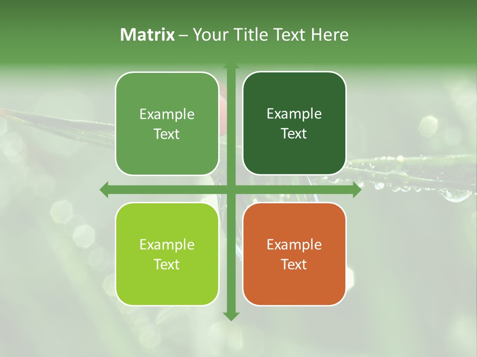 Healthcare Garden Ladybird PowerPoint Template