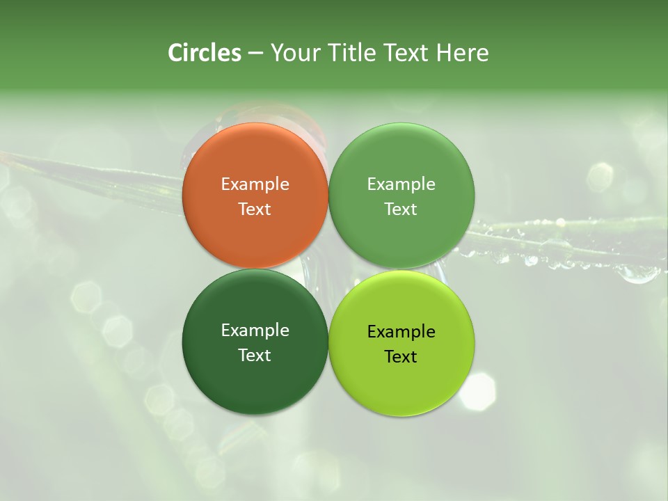 Healthcare Garden Ladybird PowerPoint Template