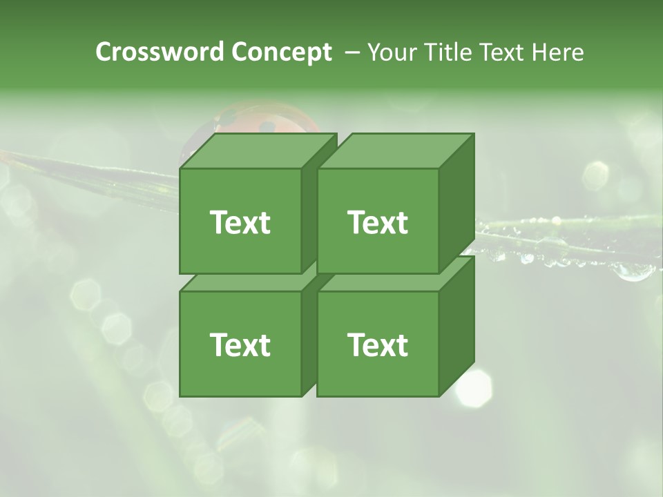Healthcare Garden Ladybird PowerPoint Template