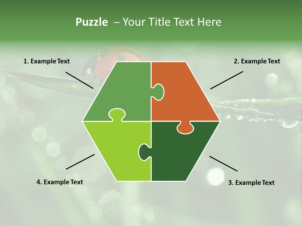 Healthcare Garden Ladybird PowerPoint Template