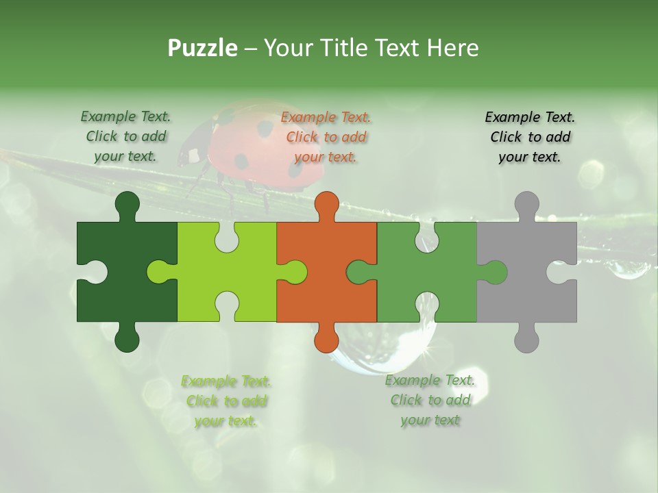 Healthcare Garden Ladybird PowerPoint Template