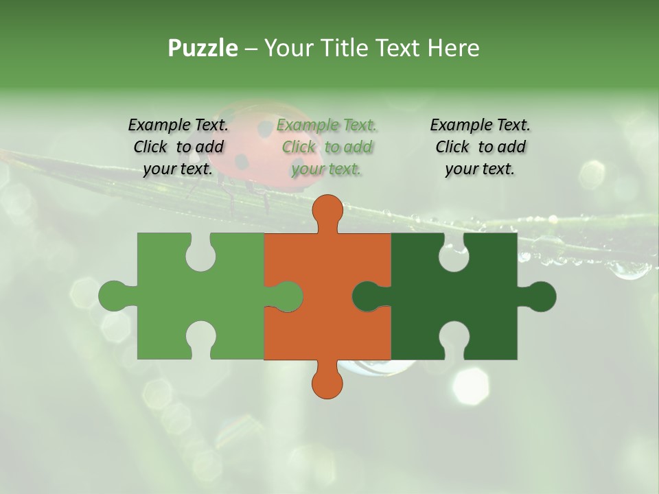 Healthcare Garden Ladybird PowerPoint Template