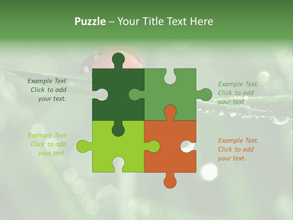 Healthcare Garden Ladybird PowerPoint Template