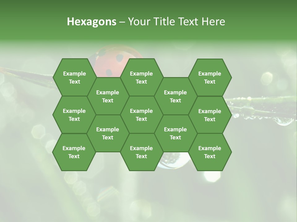 Healthcare Garden Ladybird PowerPoint Template