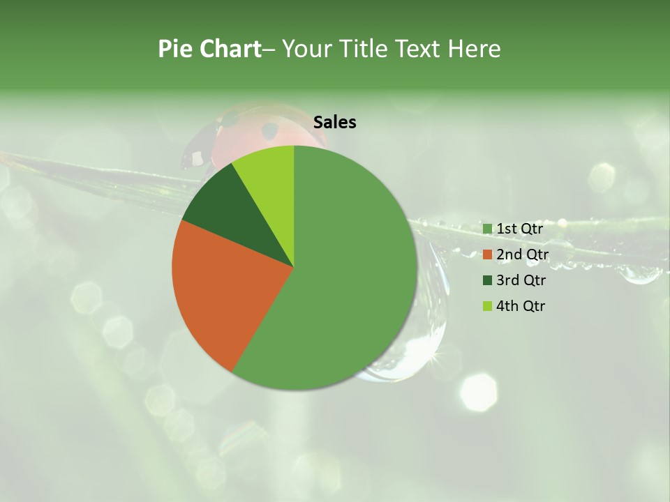 Healthcare Garden Ladybird PowerPoint Template