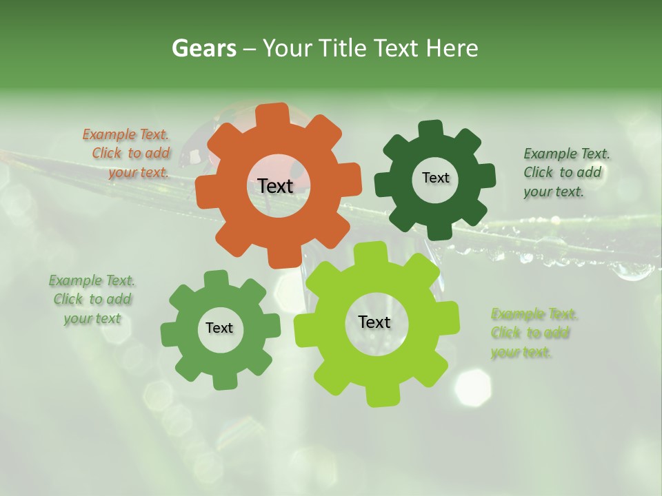 Healthcare Garden Ladybird PowerPoint Template