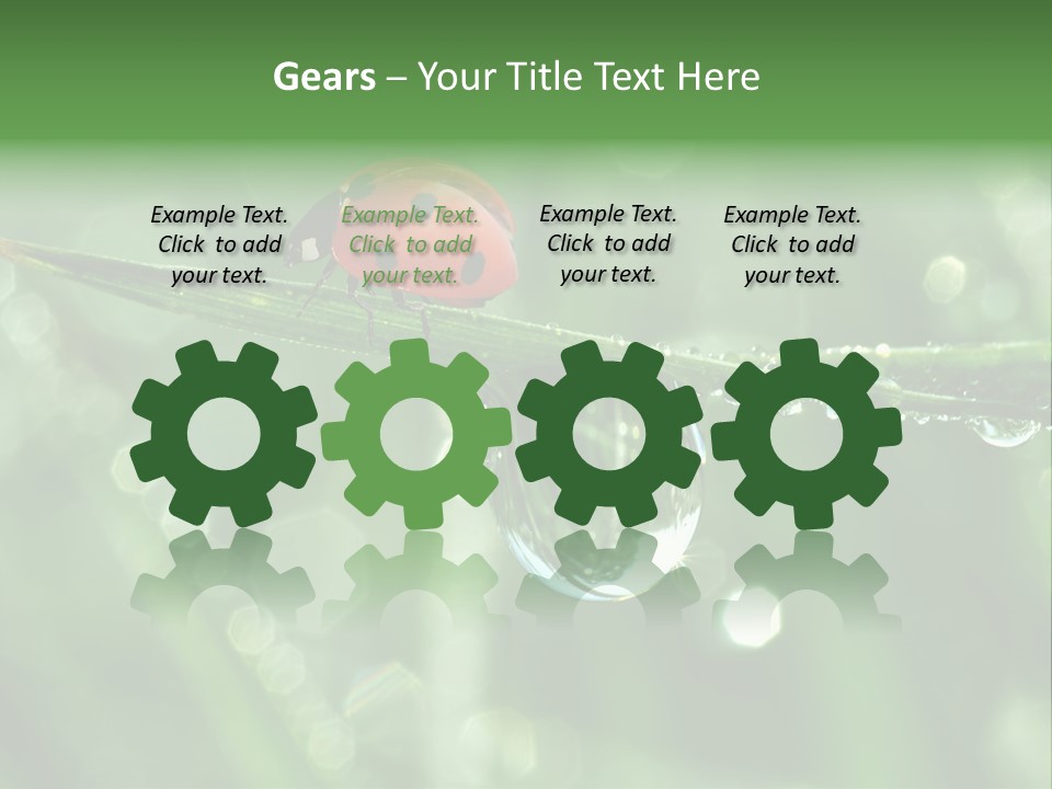 Healthcare Garden Ladybird PowerPoint Template