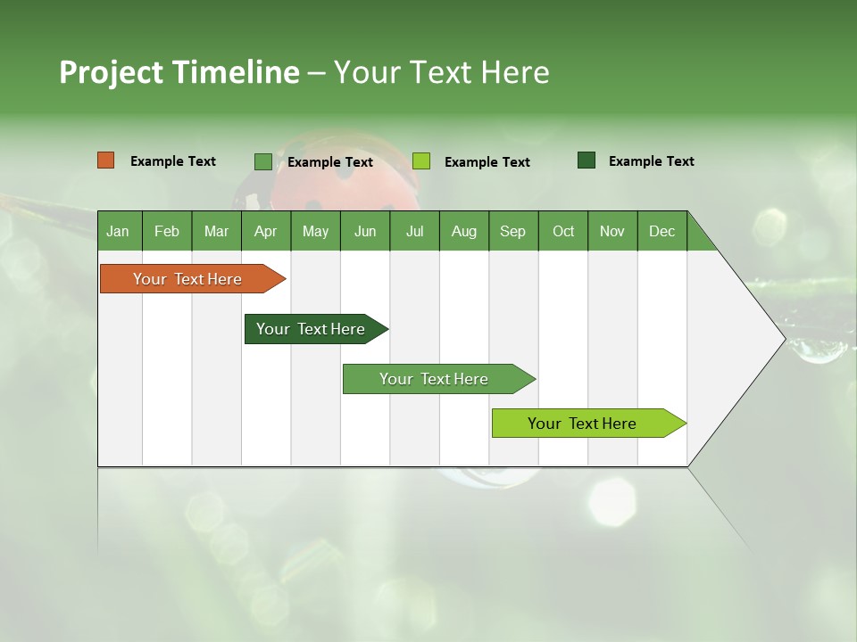 Healthcare Garden Ladybird PowerPoint Template