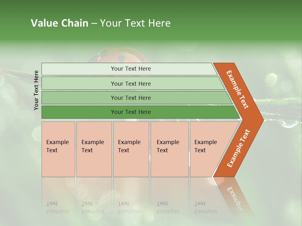 Healthcare Garden Ladybird PowerPoint Template