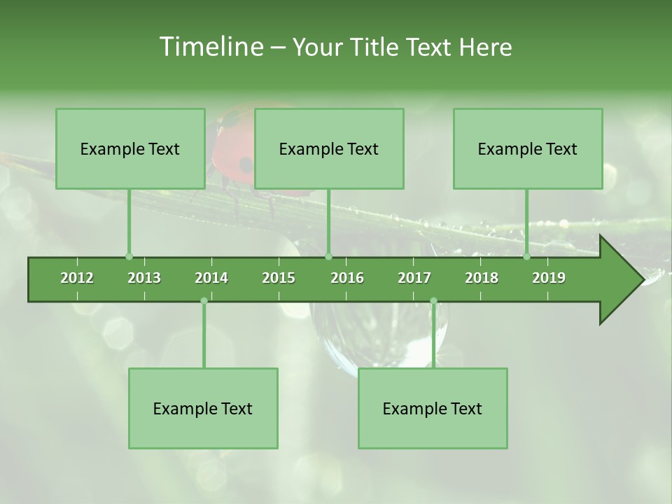 Healthcare Garden Ladybird PowerPoint Template