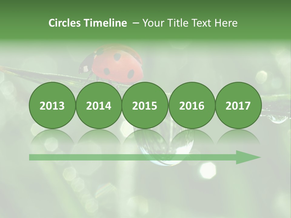 Healthcare Garden Ladybird PowerPoint Template