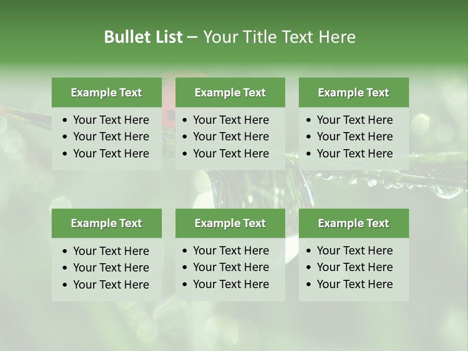 Healthcare Garden Ladybird PowerPoint Template