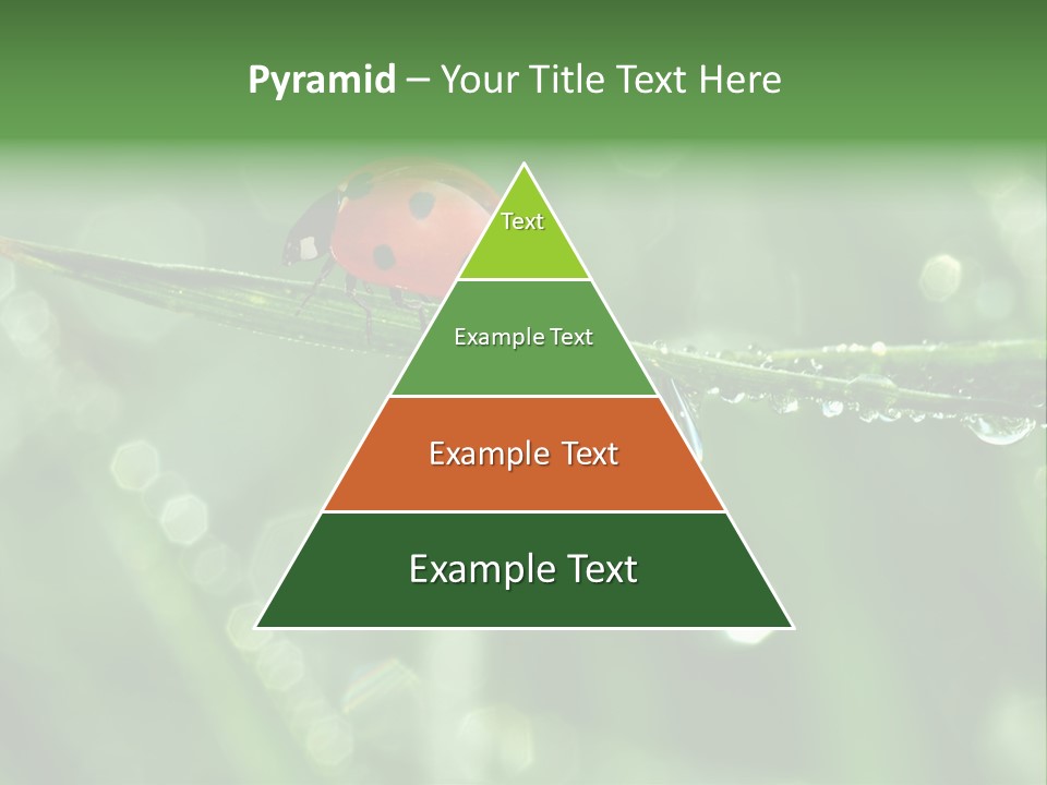 Healthcare Garden Ladybird PowerPoint Template