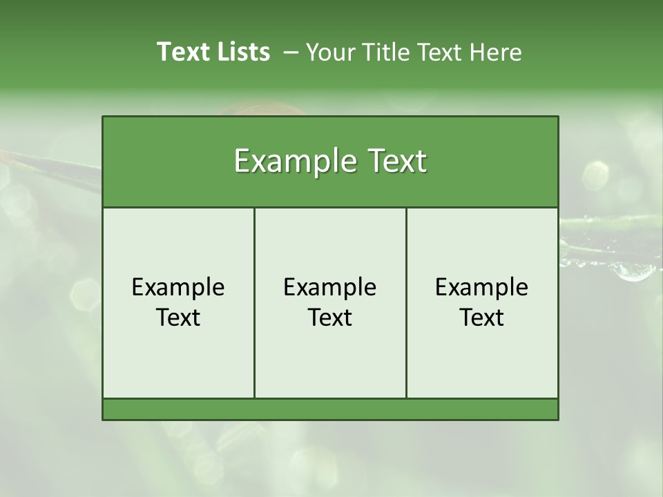 Healthcare Garden Ladybird PowerPoint Template