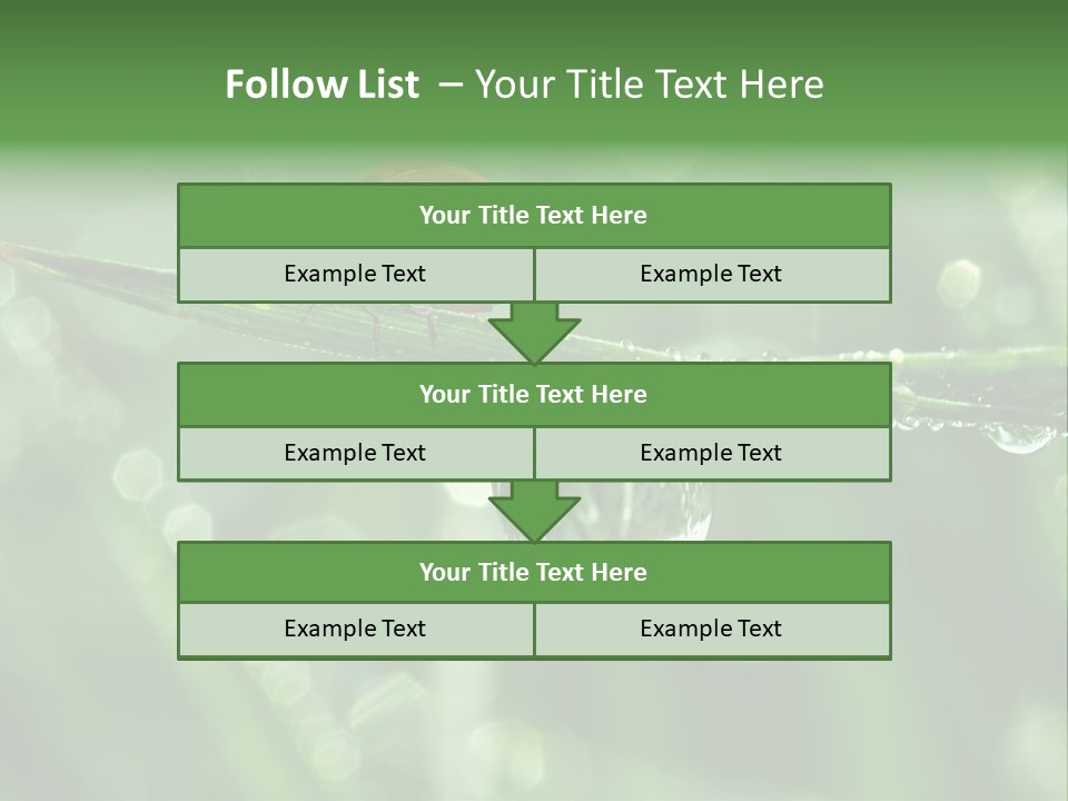 Healthcare Garden Ladybird PowerPoint Template