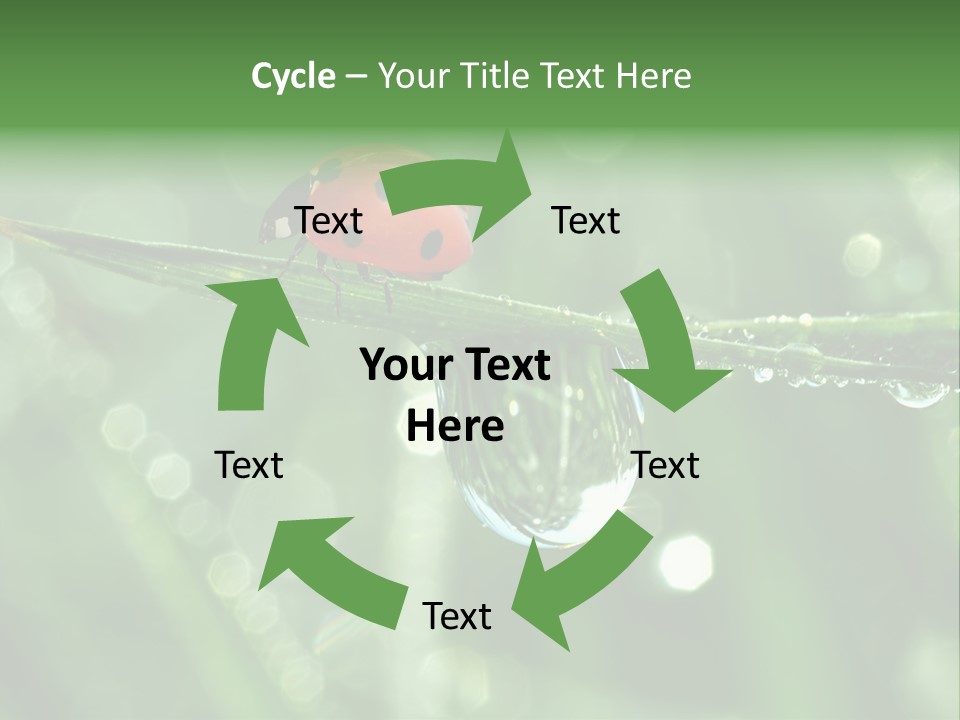 Healthcare Garden Ladybird PowerPoint Template