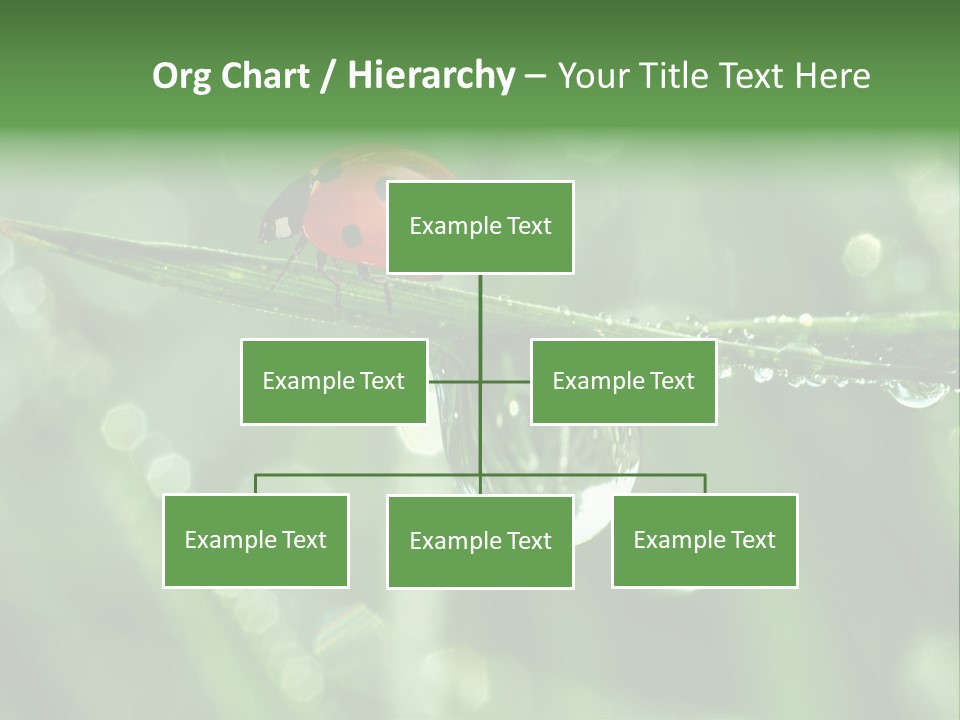 Healthcare Garden Ladybird PowerPoint Template